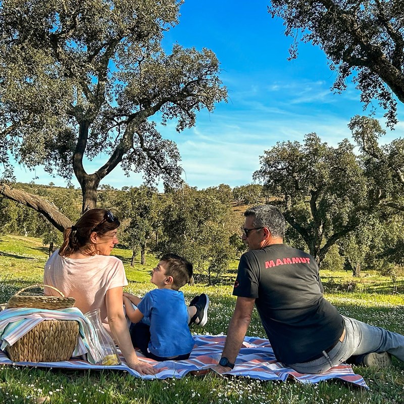 Picnic in the mountains