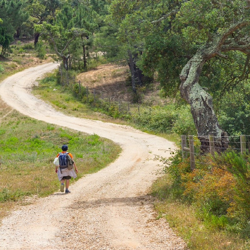 Hiking