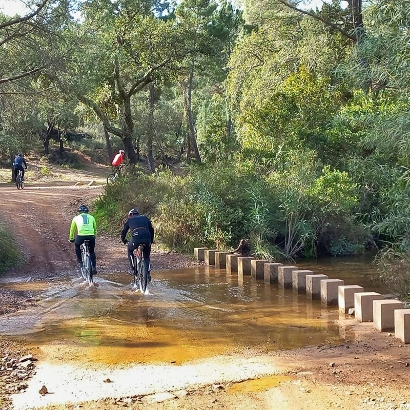 Passeios de bicicleta