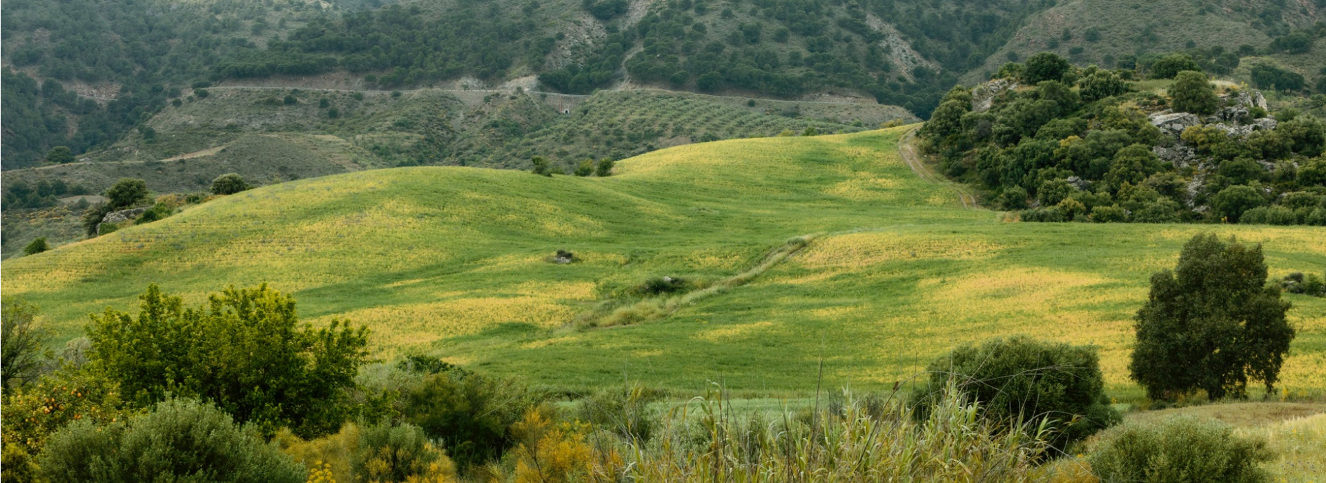 Étreinte de la nature